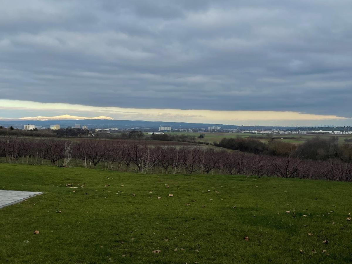 Weingut Bugner Meizelhof Klein-Winternheim المظهر الخارجي الصورة