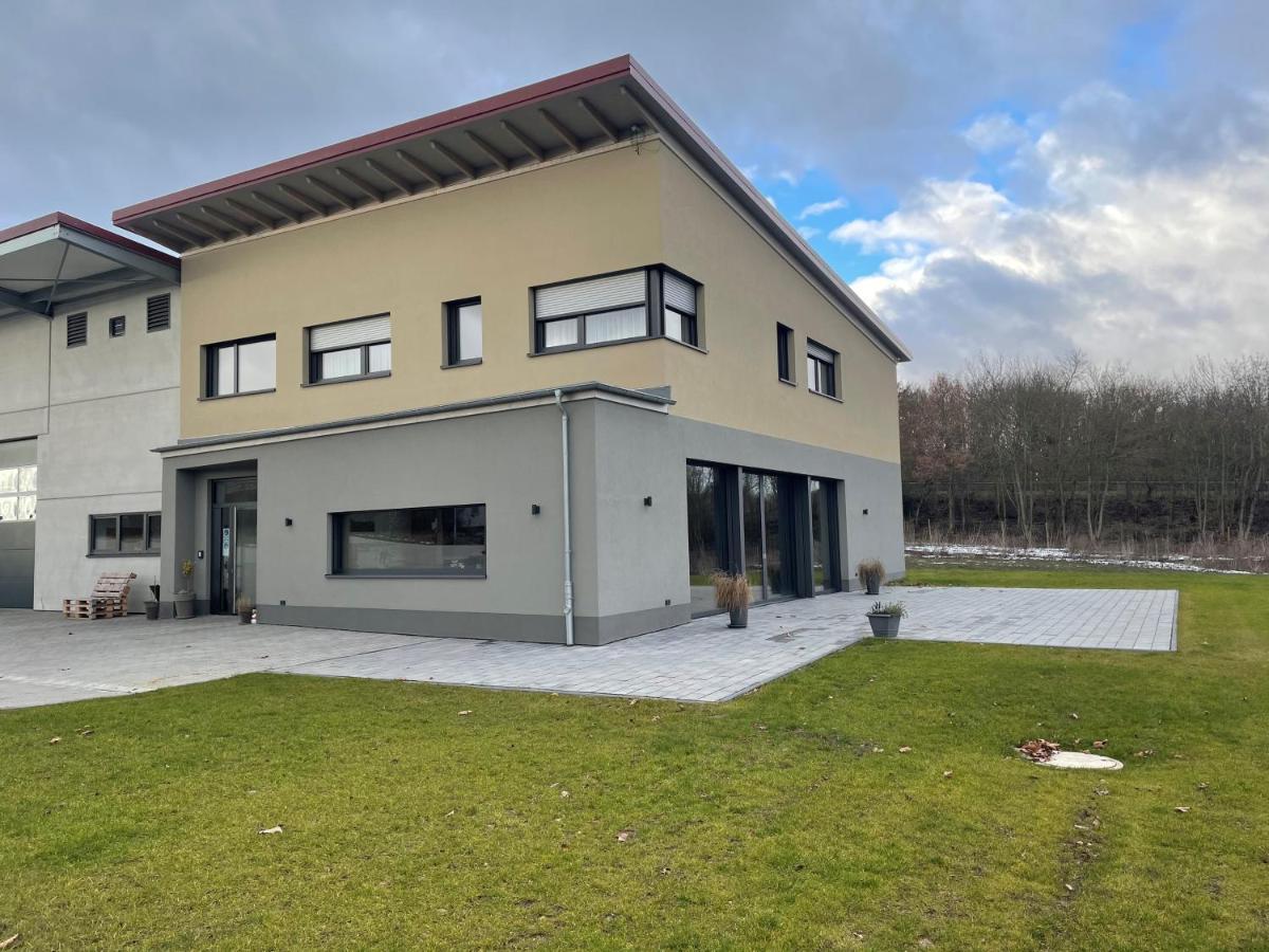 Weingut Bugner Meizelhof Klein-Winternheim المظهر الخارجي الصورة